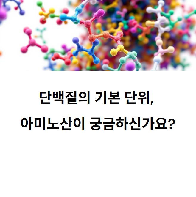 우리 몸을 구성하는 단백질 기본 단위 아미노산이란?
