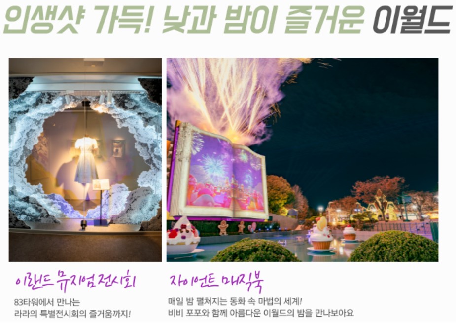 이월드의 야간 전경