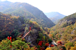 출렁다리를 걷는 사람들