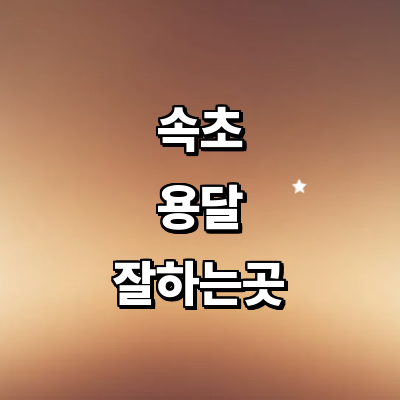 속초시 용달