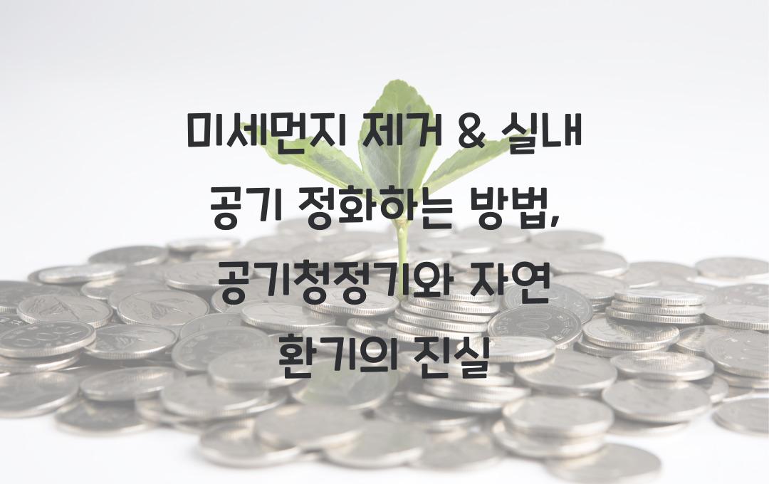 미세먼지 제거 & 실내 공기 정화하는 방법 (공기청정기 vs 자연 환기)