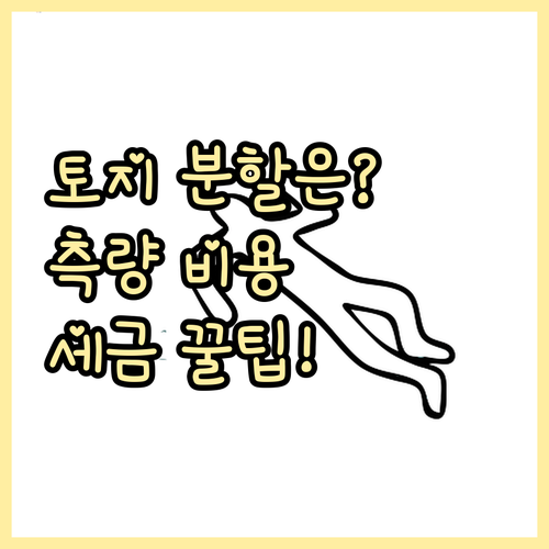 토지 분할 등기 비용 측량 수수료와 ..