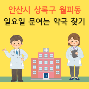 안산시 상록구 월피동 일요일 문여는 약국 찾기