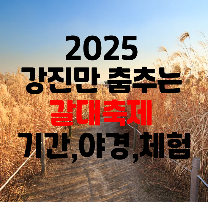 2025강진만 춤추는 갈대축제 기간,야경,체험