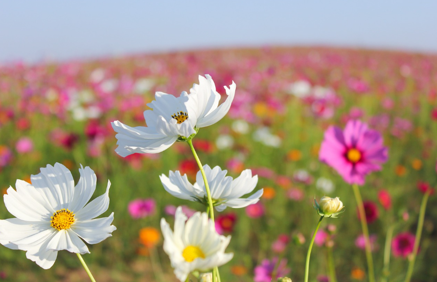가을에 하기 좋은 자기 회복 루틴 7가지