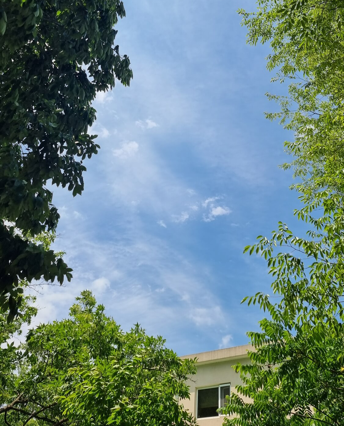 코울러 카페 테이블에서 본 하늘