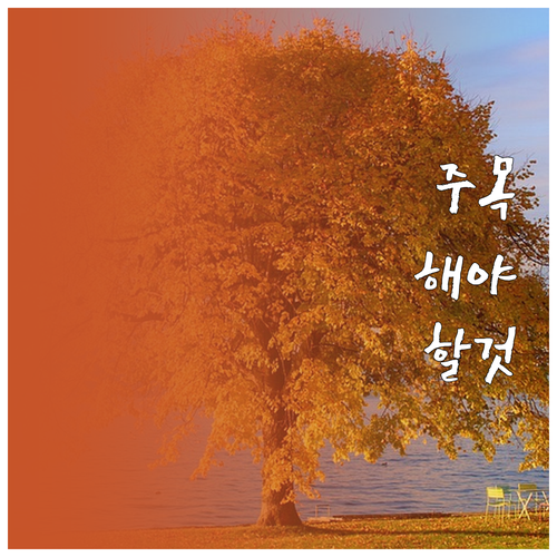 집중 안되는 재택근무 고민 끝 당신의..