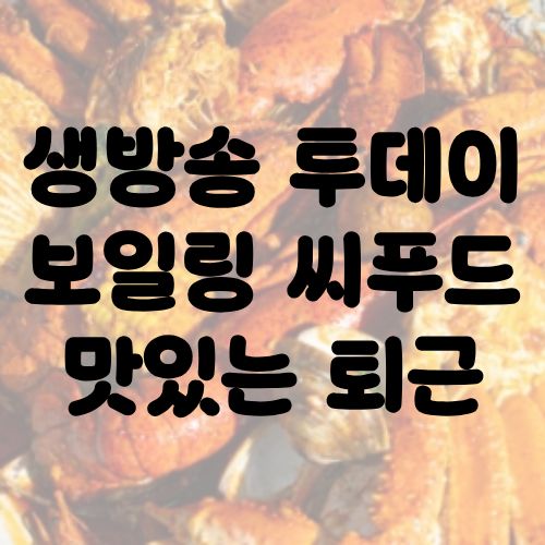 생방송 투데이 보일링 씨푸드 맛있는 퇴근