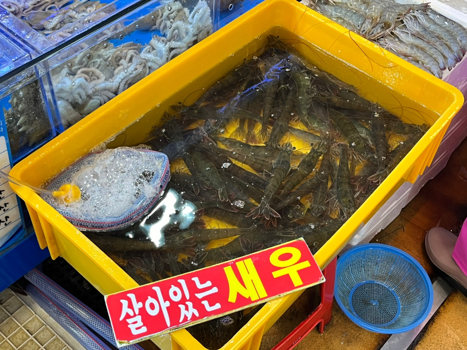 대하