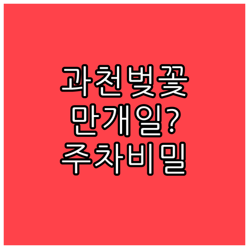 2026 과천 벚꽃 만개 예상일과 주..