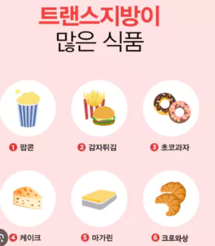 트랜스지방-텍스트