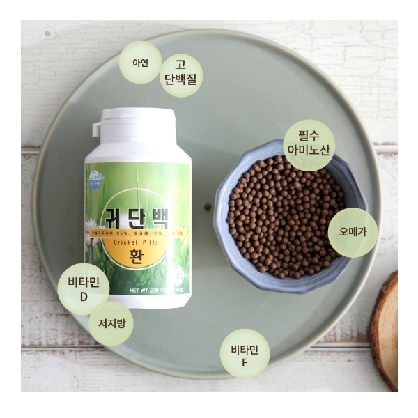 쌍별귀뚜라미오 만든 단백질 섭취 환