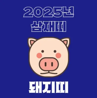 2025년 삼제띠 들삼재 눌삼재 날삼재에 대한 정보_10