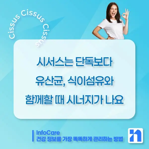 시서스 다이어트, 복용방법