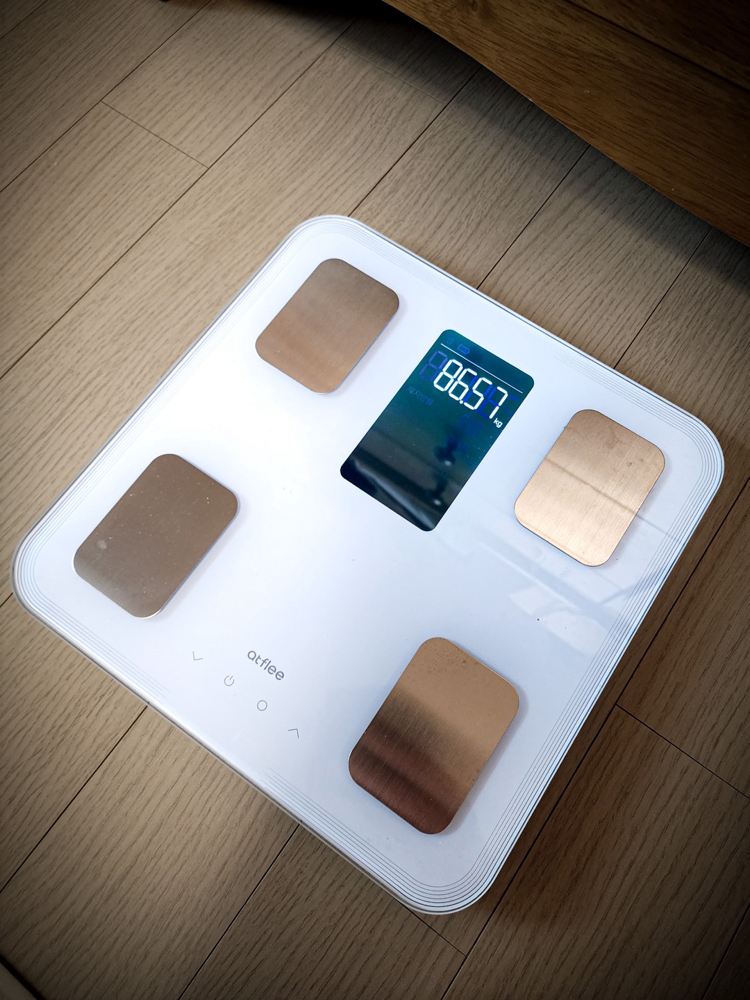 체중계-5kg감소하여-86kg달성