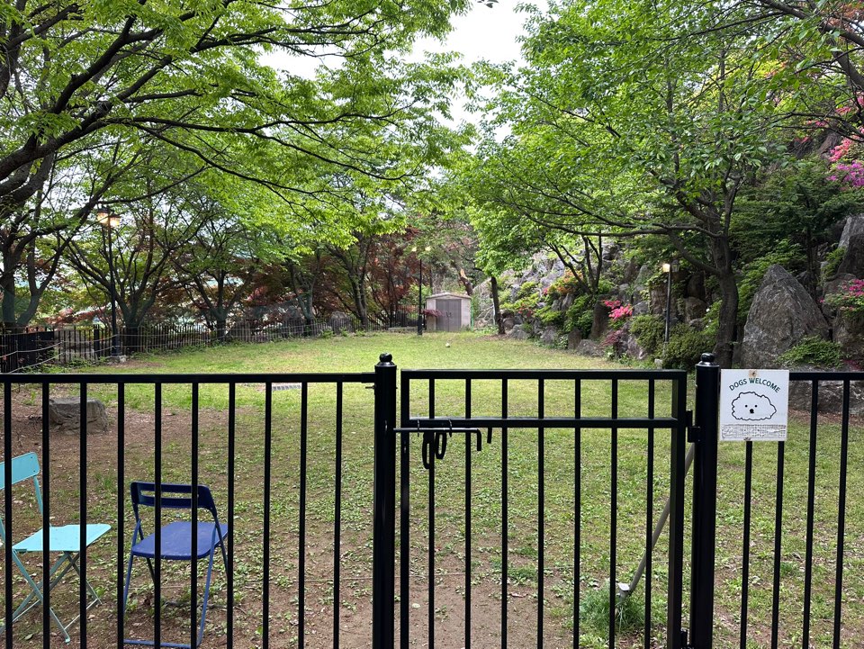 강아지 정원