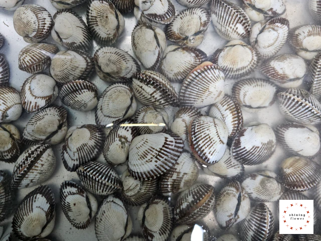 생꼬막 물에 담근 사진