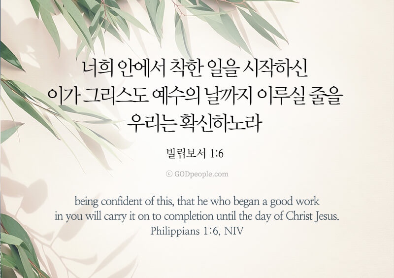 빌립보서 1장 6절 수험생을 위한 신뢰의 기도 성경구절