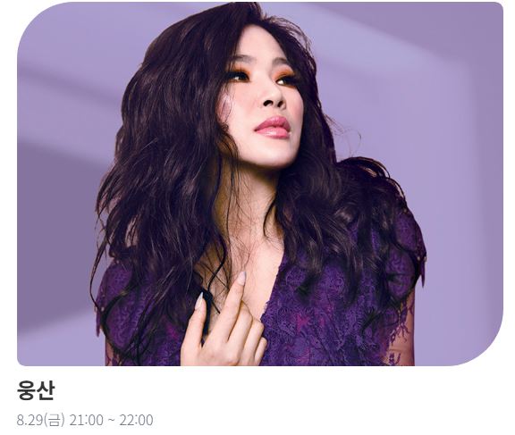 웅산 뮤지션