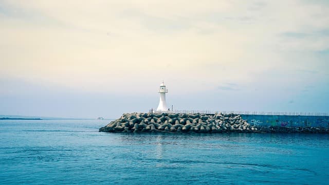 해수욕장 개장일