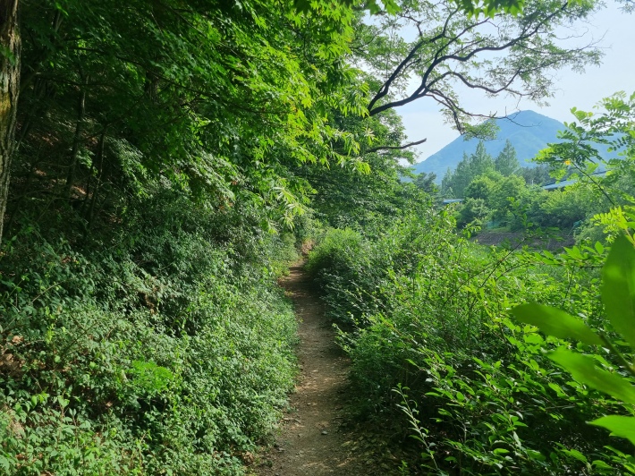 하천길