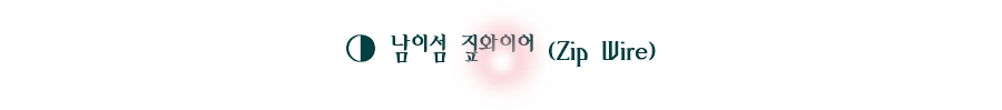 남이섬 짚와이어 (Zip Wire)
