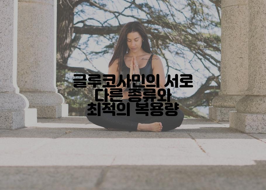 글루코사민의 서로 다른 종류와 최적의 복용량