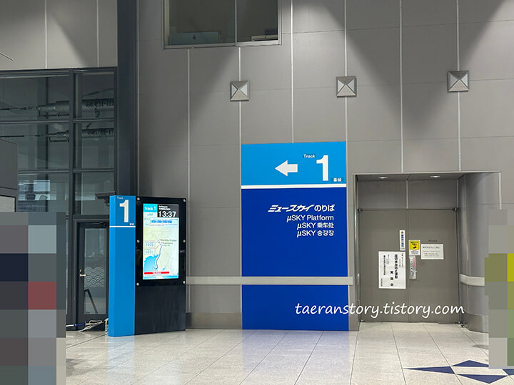 뮤스카이-타는곳