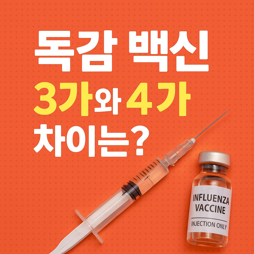 독감 백신 3가 4가 비교 썸네일 이미지