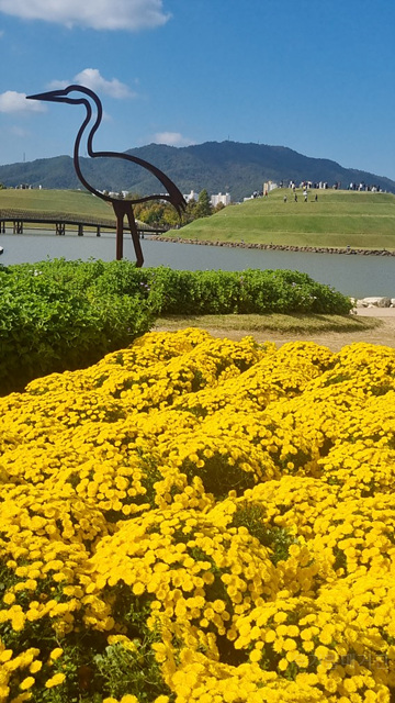 2025 순천만 국가정원 순천여행 맛집 현지인 추천 맛집 순천만 숙박