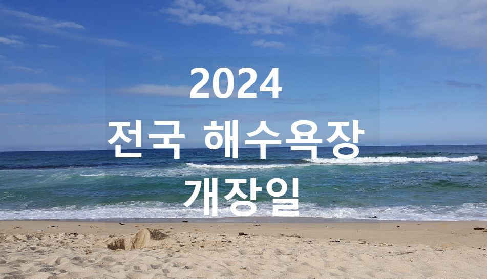 2024 전국해수욕장 개장일정 예시 사진, 동해 안목해변
