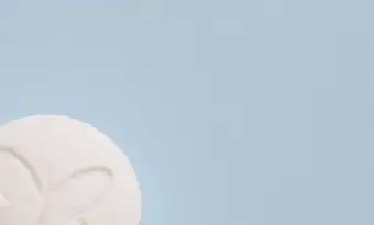 듀오렉신 나비정 부작용