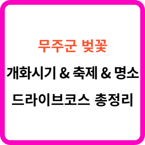 무주 벚꽃 개화시기 명소 드라이브 코스 축제 완벽 가이드 썸네일