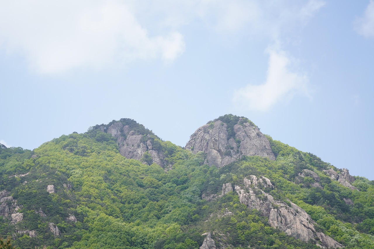 계룡산 장군봉 이미지