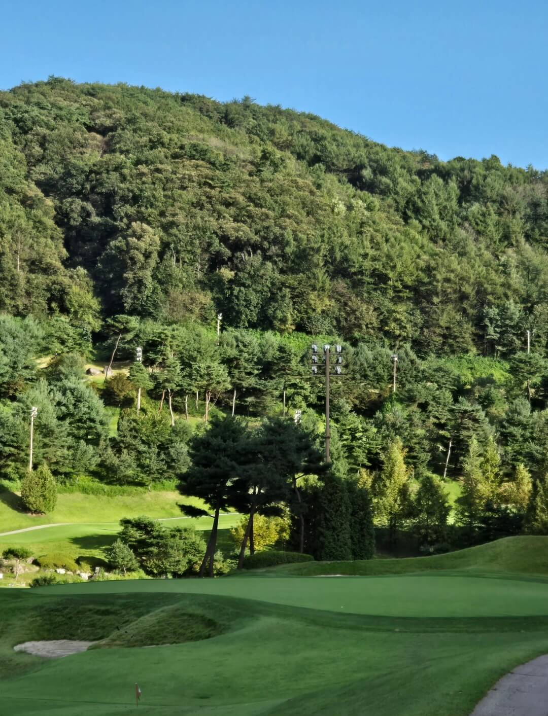 포천힐스CC 가든코스 그린위전경