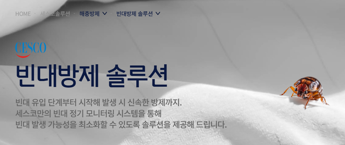 세스코-빈대-무료견적