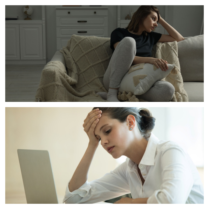 갱년기 건강기능식품 주의사항 주부