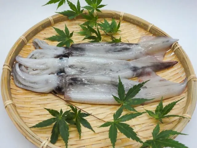 오징어 효능 근육 유지에 도움