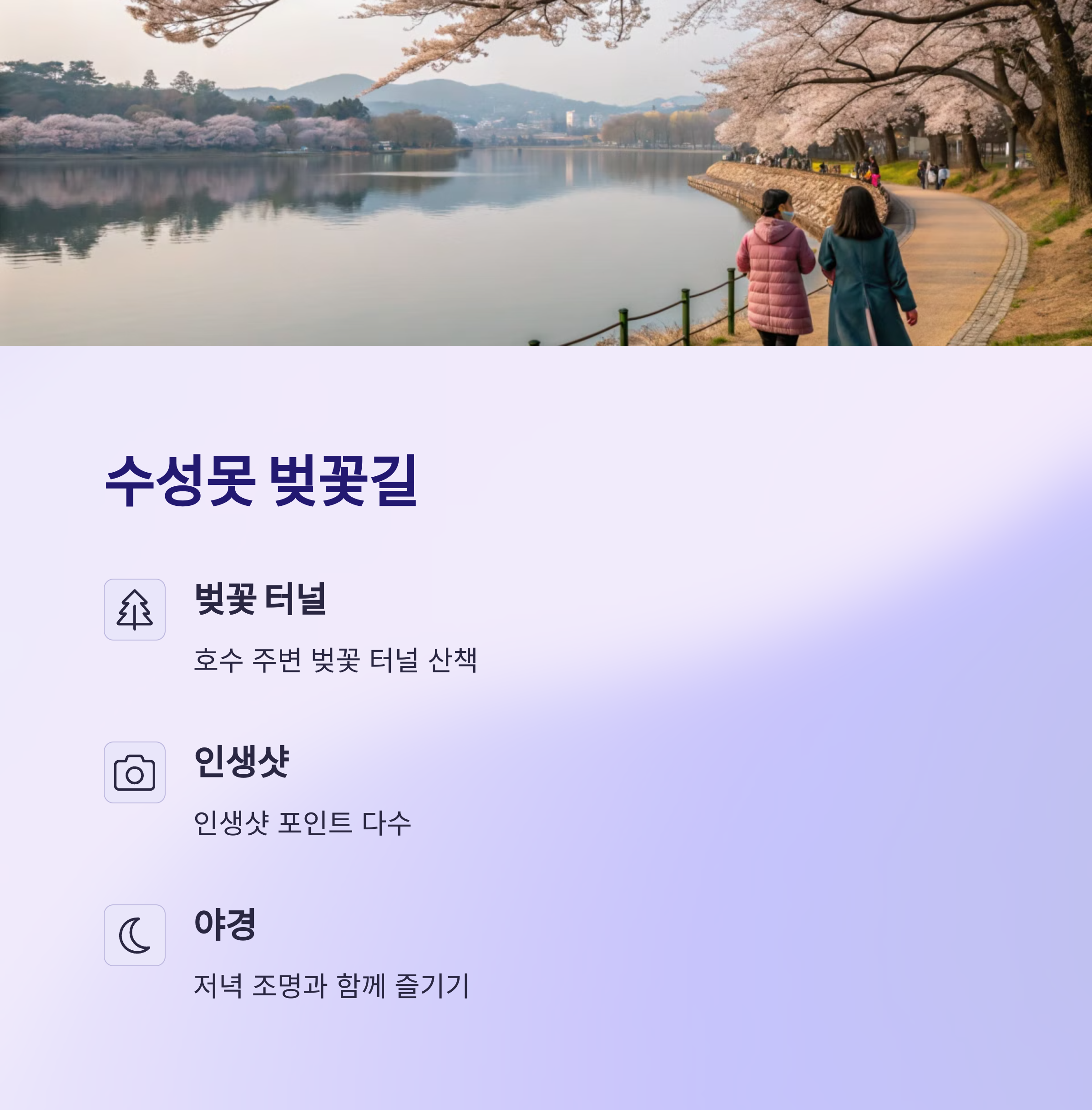 수성못 벚꽃길