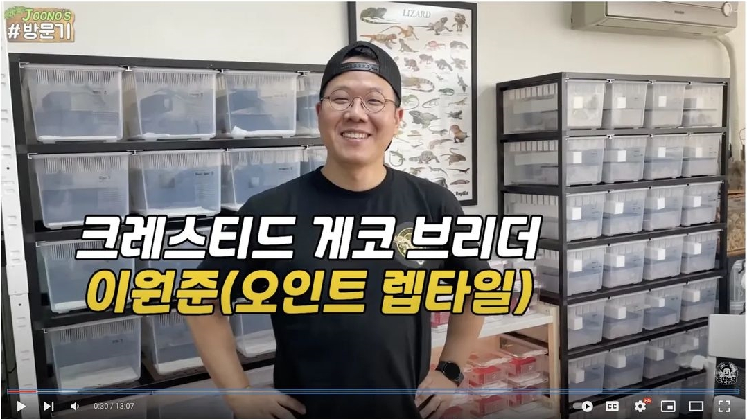 뭉쳐야 즐겁다 내겐 너무 예쁜 파충류 분양, 전문 브리더 유튜브 인스타 소개 추천