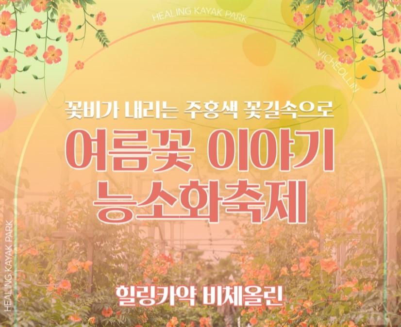 제주 비체올린 능소화 축제