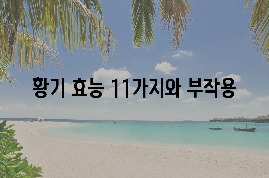 샘플 (5)