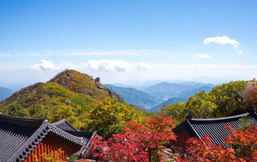추천 지리산 가을 숲 산책 코스