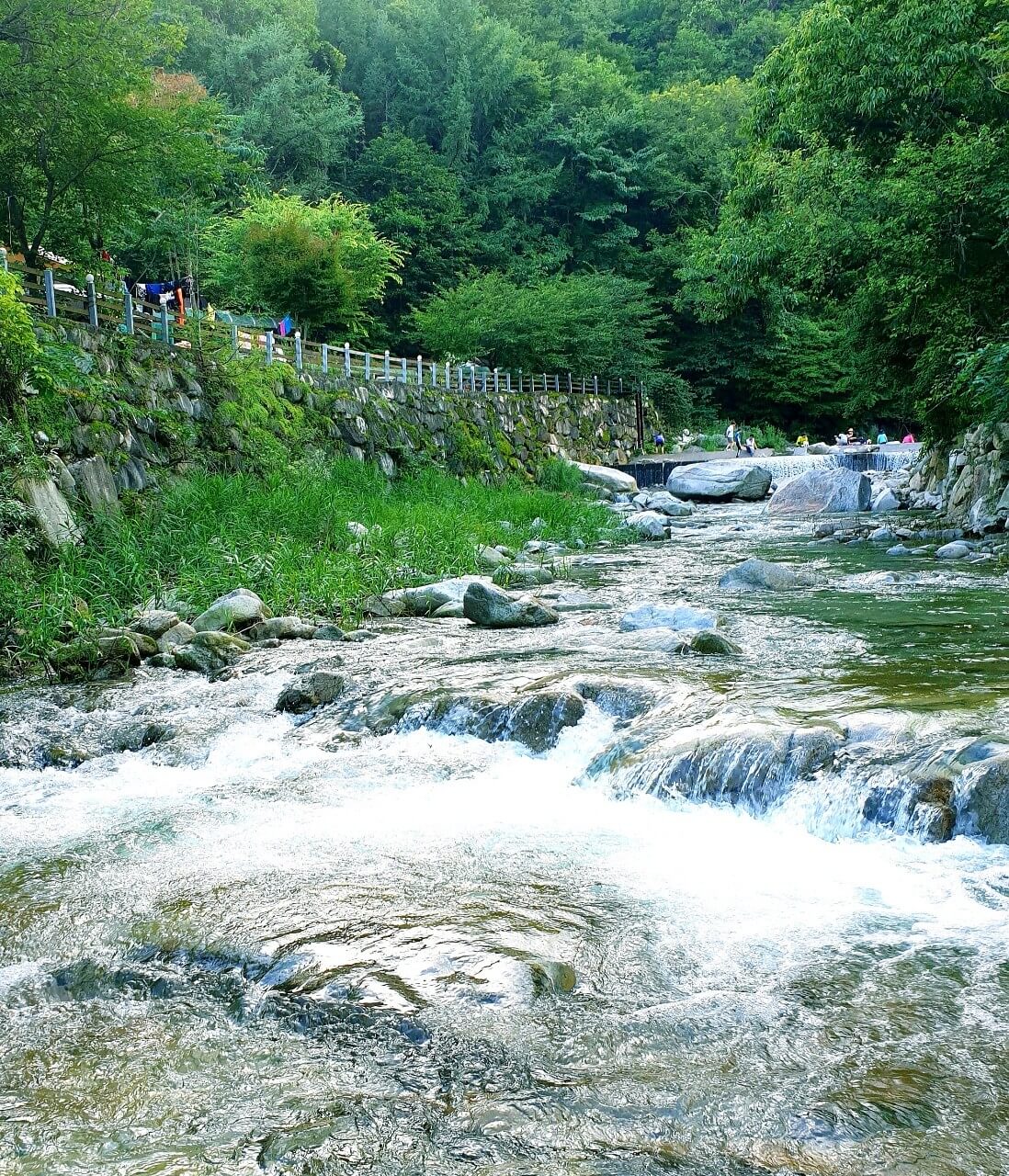 메사캠핑장-계곡