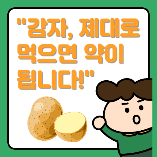 감자의 놀라운 효능과 질환별 활용법, 제대로 알고 드세요!