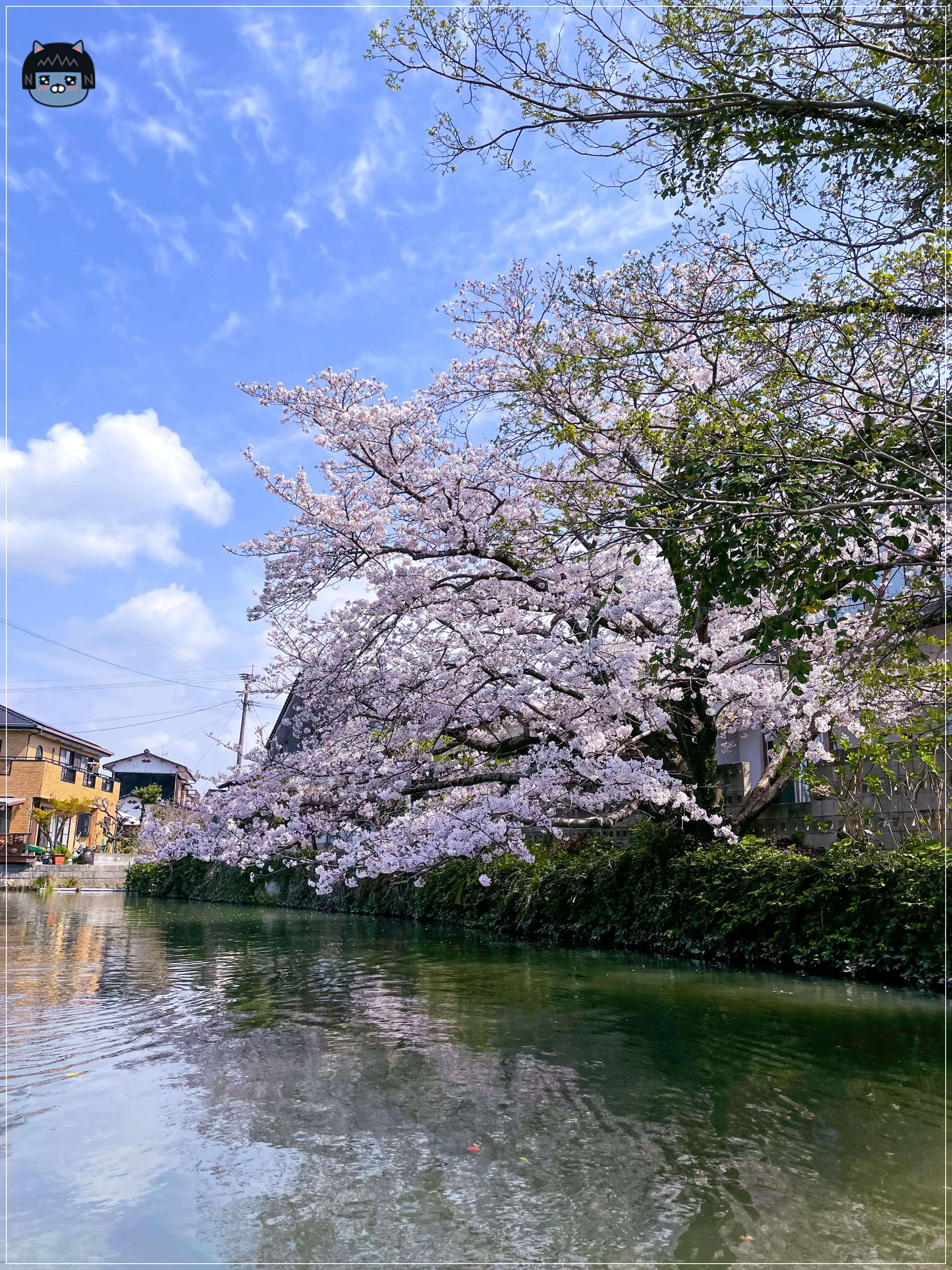 야나가와-뱃놀이-티켓-가격-시간