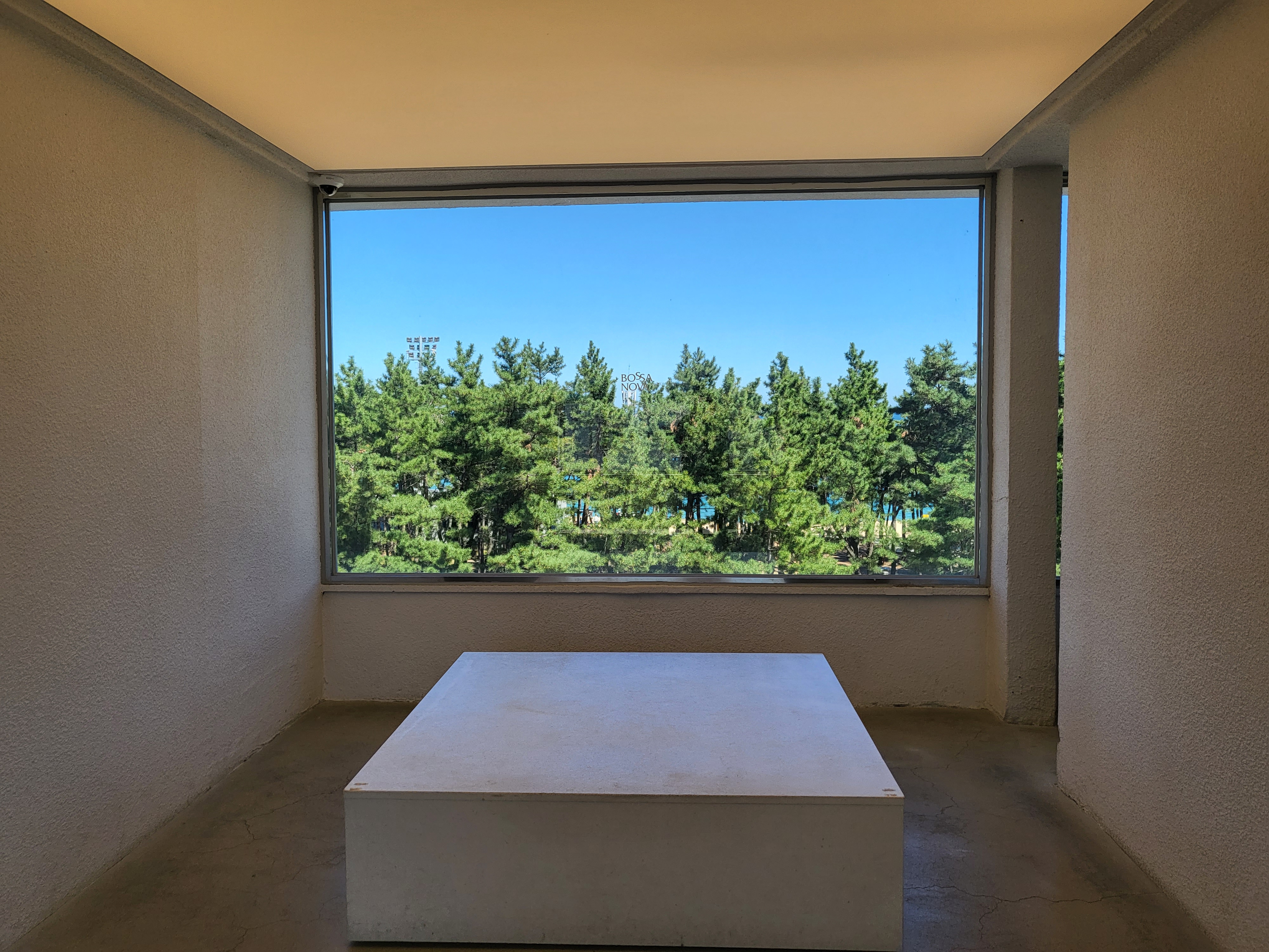 보사노바 - 포토스팟