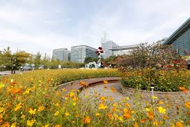  2024 창릉천 유채꽃 축제 특징