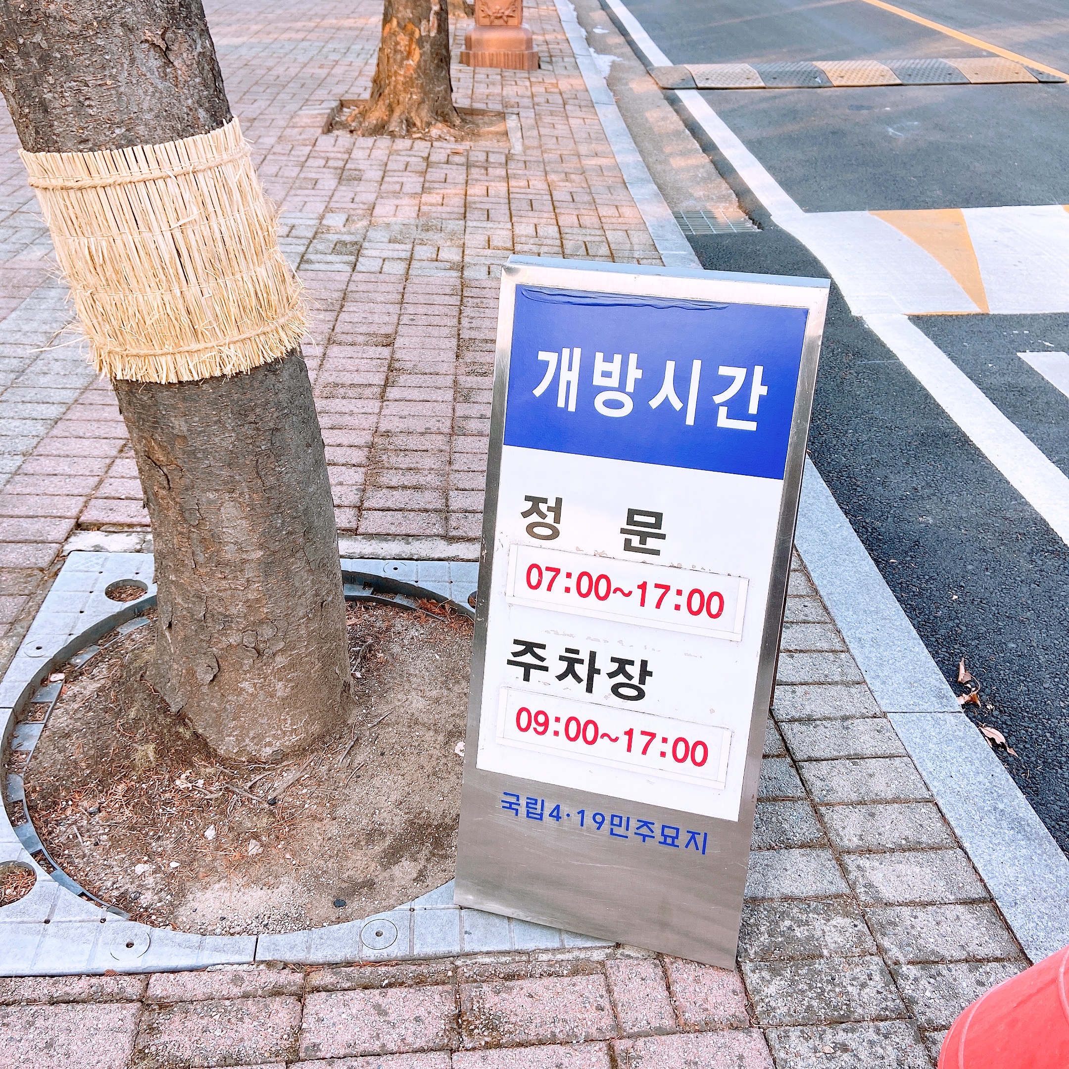 419묘지2