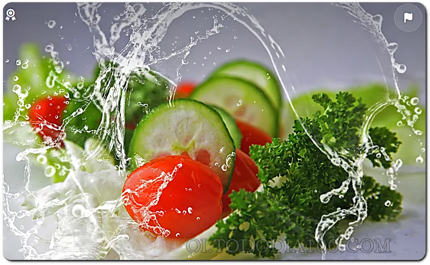 양배추 겨자 샐러드 먹기